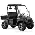 200cc, EFI Jeep Cargobox UTV-Kohlefaserfarbe